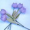 Když jaro přichází a tulipány rozkvétají. č 1084
