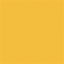 Efcolor 10ml zlatožlutý (9370008)
      
