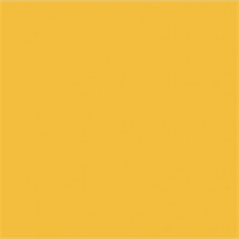 Efcolor 10ml zlatožlutý (9370008)
      