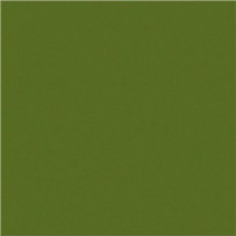 Efcolor 10ml olivová (9370066)
      