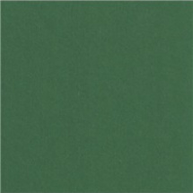 A4 fotokarton zelený tmavě,300g/m2 (3774655)
      