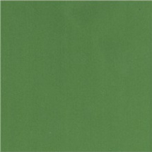 Pěnová guma Foamiran 30x35cm (1ks) zelená (505-866)
      