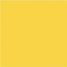 Efcolor 25ml žlutý (9371007)
      