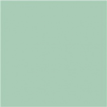 Fotokarton 300g/m2 (25ks) mint 50x70cm (204716255)
      