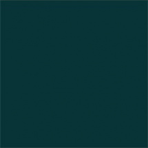 Efcolor 10ml tmavě zelený (9370068)
      