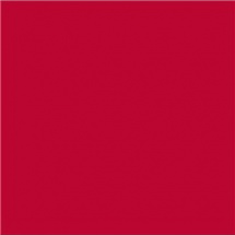 Efcolor 25ml jahodově červený (9371027)
      