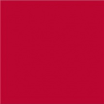 Efcolor 25ml jahodově červený (9371027)
      