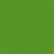 Efcolor 10ml světle zelený (9370063)
      