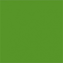 Efcolor 10ml světle zelený (9370063)
      