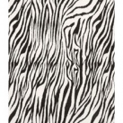 Hot-fix nažehlovací folie se vzorem zebra (TISSU-ZEBRA)
      