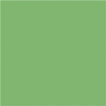 Fotokarton A4 zelená 300g/m2 s EAN kódem (204726453)
      