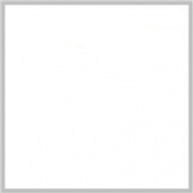 Efcolor 25ml bílý (9371001)
      