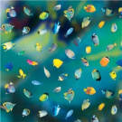 Transparentní papír 30x30cm ryby (1ks) (70010024)
      