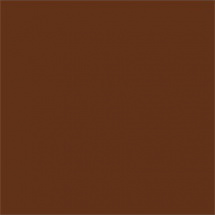 Efcolor 10ml hnědý (9370077)
      