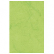 Rýžový papír Jednobarevný zelené jablko (DFTVG018)
      