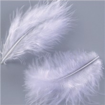 Peříčka Marabu bílá (1004301)
      