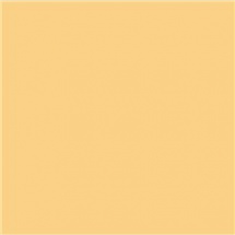 Akrylová barva Allegro žlutá - gold sand (KAL51)
      