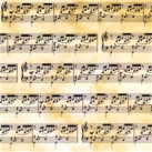 Transparentní papír A4 hudební noty (204878935)
      