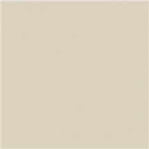 Efcolor 10ml medový (9370002)
      