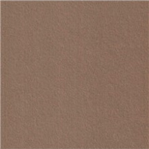 Filc 0,6mm 20x30cm (1ks) hnědý (HB-P100-407)
      
