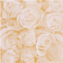 Čtvrtka perleťová A4 svatební růže - krémová (62024603)
      