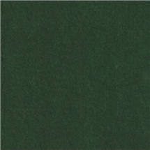 Filc 2mm 20x30cm (1ks) zelený lesní (1241069)
      