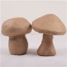 Kartonová sada 2 předmětů houby (hříbek + muchomůrka) 13x11cm a 12x10cm (AC339)
      