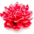Cabochon květina 24mm  - barva červená 1kus