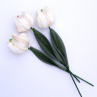Když jaro přichází a tulipány rozkvétají. č 1038