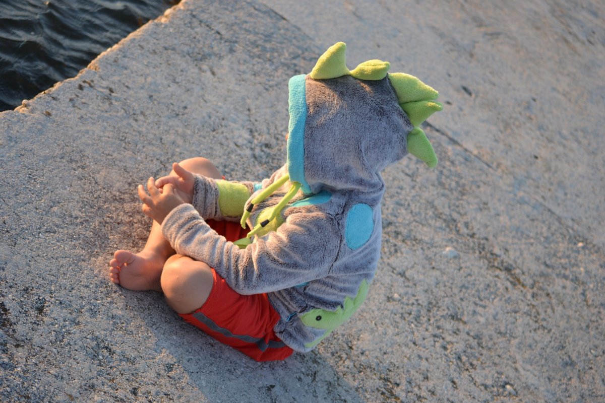 Dinošek - mikina :)