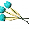 Když jaro přichází a tulipány rozkvétají. č 1052