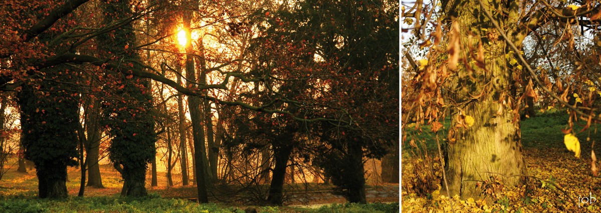 Zlatý soumrak - fotoobraz - Komorov