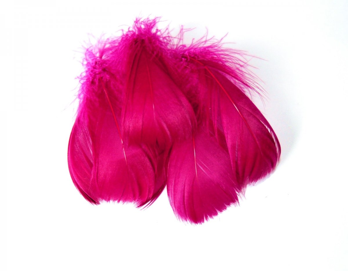 Barvené husí peří vínové