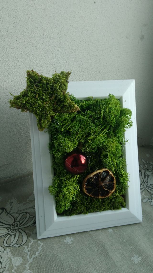 Vánoční mechový obraz