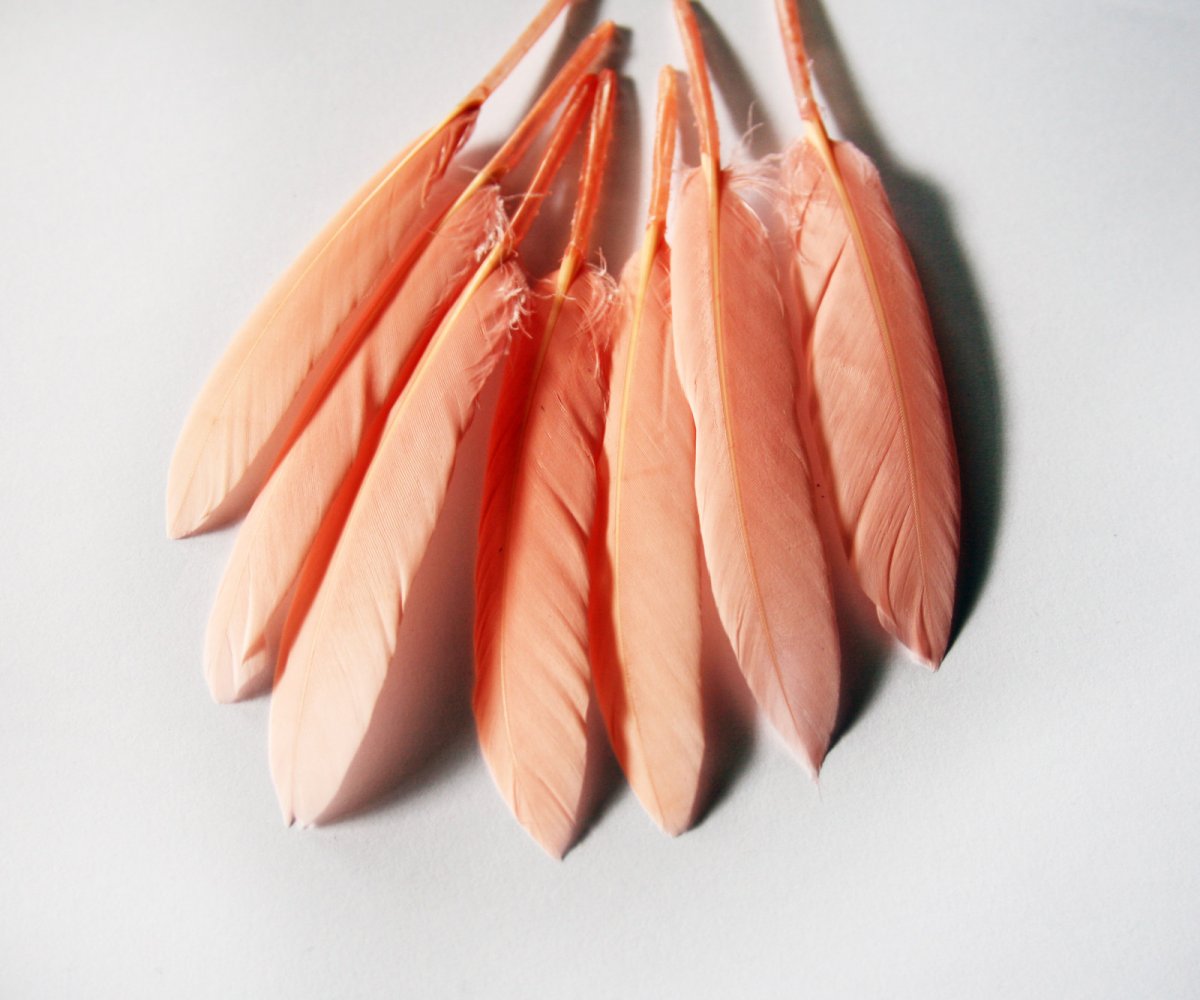 Kachní peří- letky, lososová barva