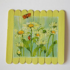 Beruška na kopretině