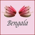 Bengala by Boženka
