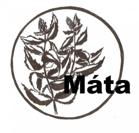 Bylinka Máta