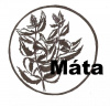 Bylinka Máta