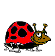 Veru06