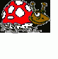 Veru06