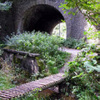 Vendulane