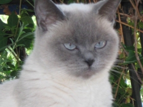 Lina2013